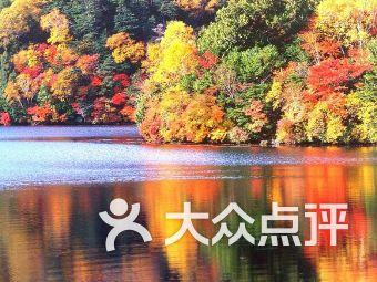 怪物大入侵中文版